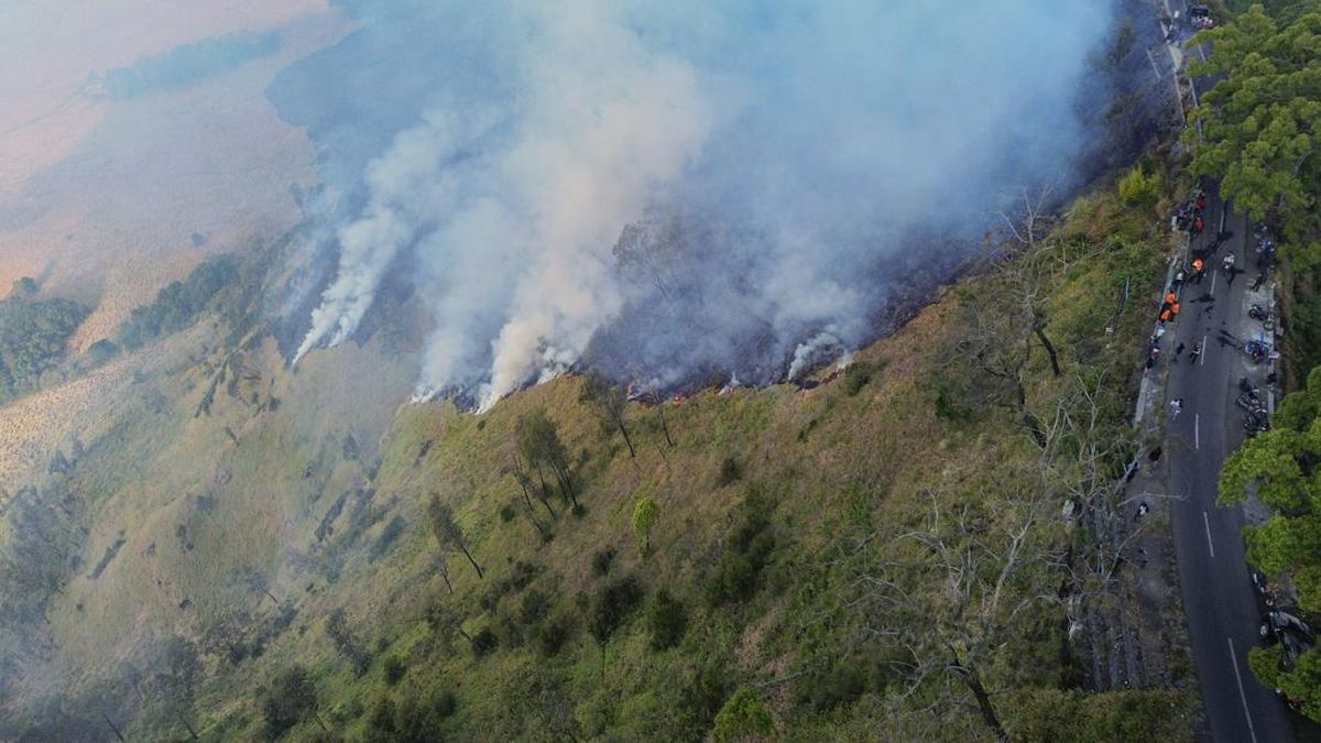 Bromo Wildfire Expands to 80 Hectares, Access Restricted