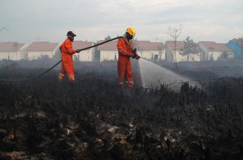 Bappenas Calls for Stronger Forest Fire Mitigation During 2026 El Niño