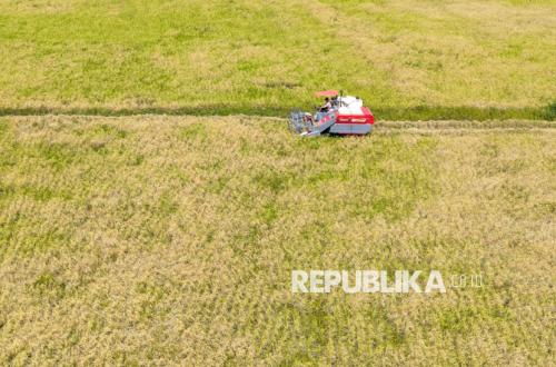 HSU Becomes South Kalimantan's Mainstay During Dry Season, Rice Production Reaches 84 Thousand Tonnes