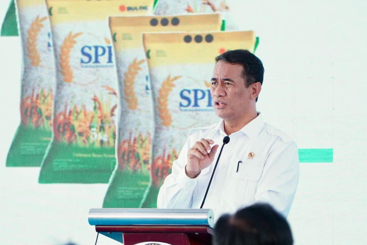 Bapanas: Eight-Year High in Grain Prices Boosts Farmers, Rice Inflation Contained