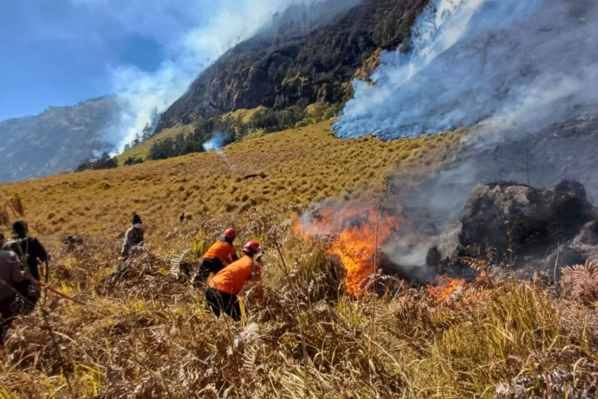 Forestry Ministry Deploys Integrated Operation to Tackle Savanna Fires at Mount Bromo