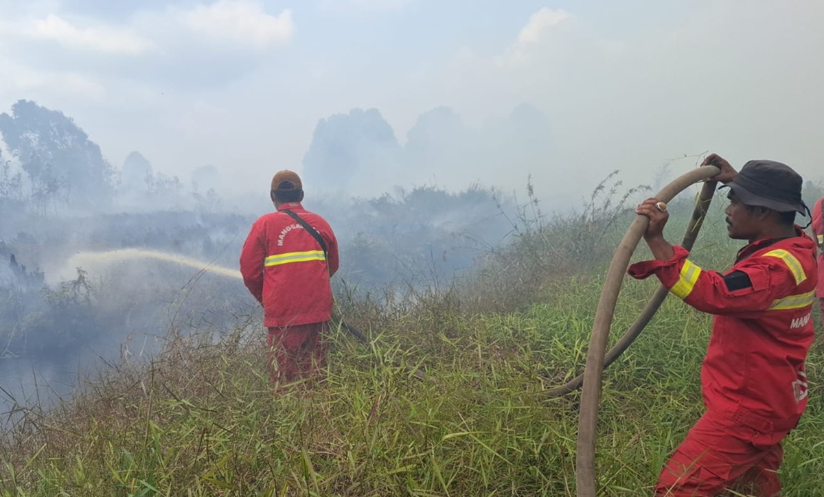 Riau Forest and Land Fires Expand to 94 Hectares, Firefighting Hampered by Access and Water Sources