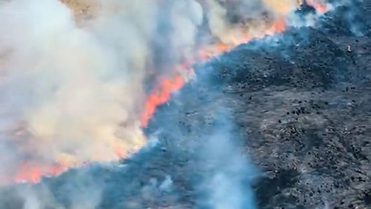 Scenes of 80-Hectare Forest Fire in the Mount Bromo Area