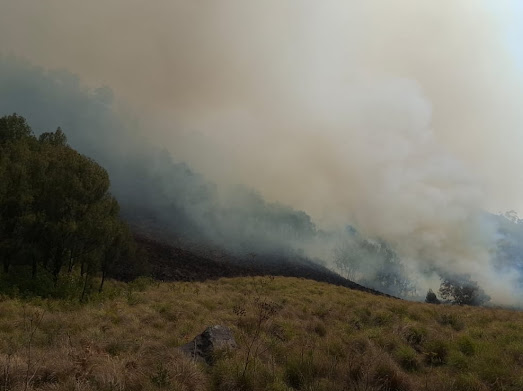 Integrated Operation Deployed by Forestry Ministry to Extinguish Bromo Forest Fires