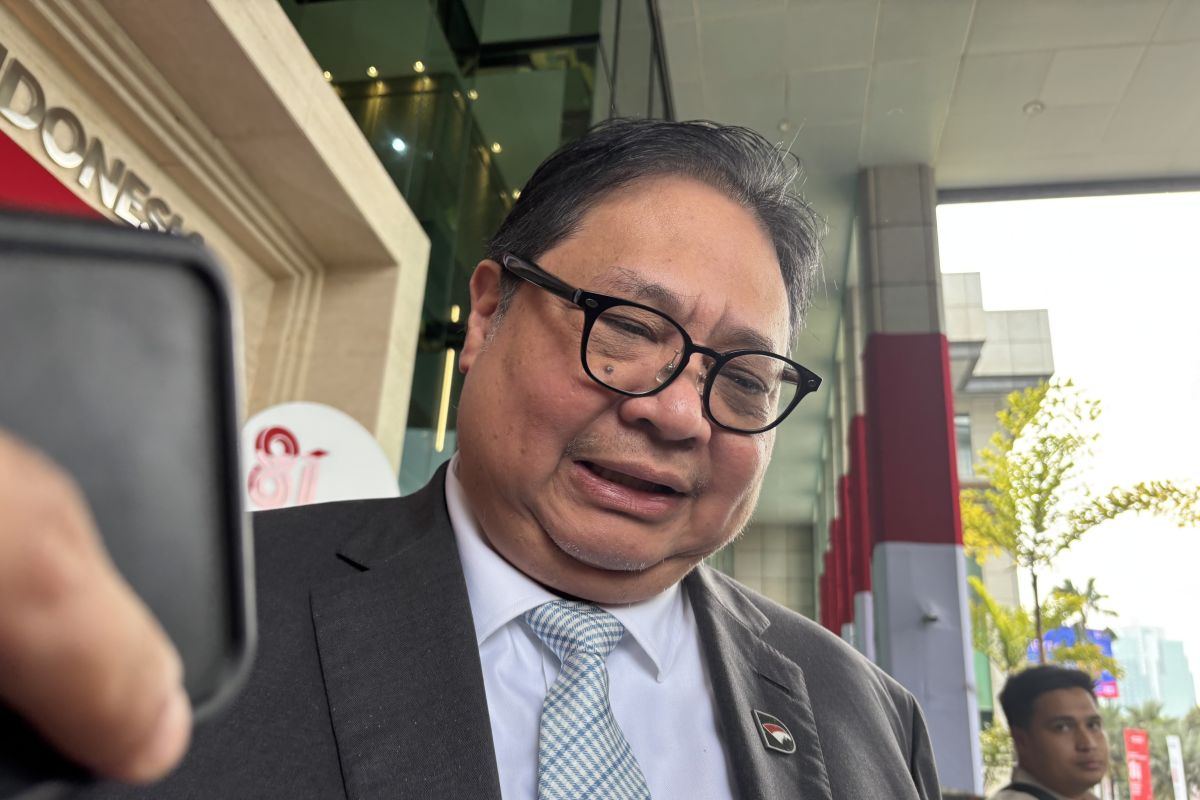 Airlangga: Danantara's RKAT Revised to Align with DSI and DDMF