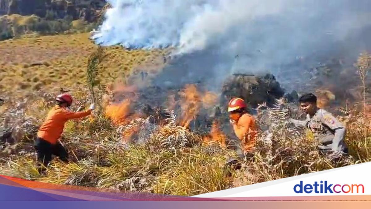 Bromo Fire Spreads to 51 Hectares, Origin Point Identified