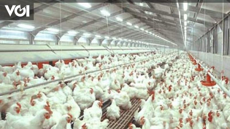 Large Markets are Needed to Encourage Protein Sector Investment