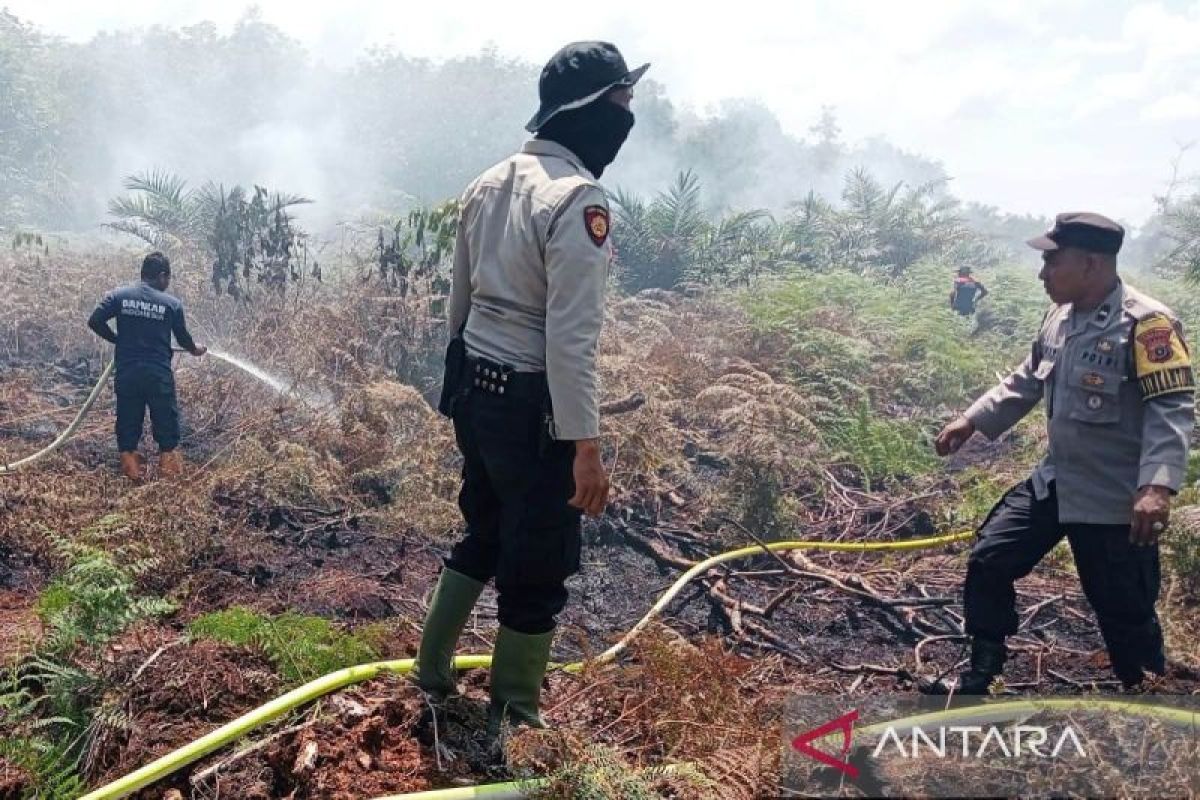 BNPB: Pidie Jaya and Aceh Besar Deploy Fire Engines on Standby for Forest and Land Fires