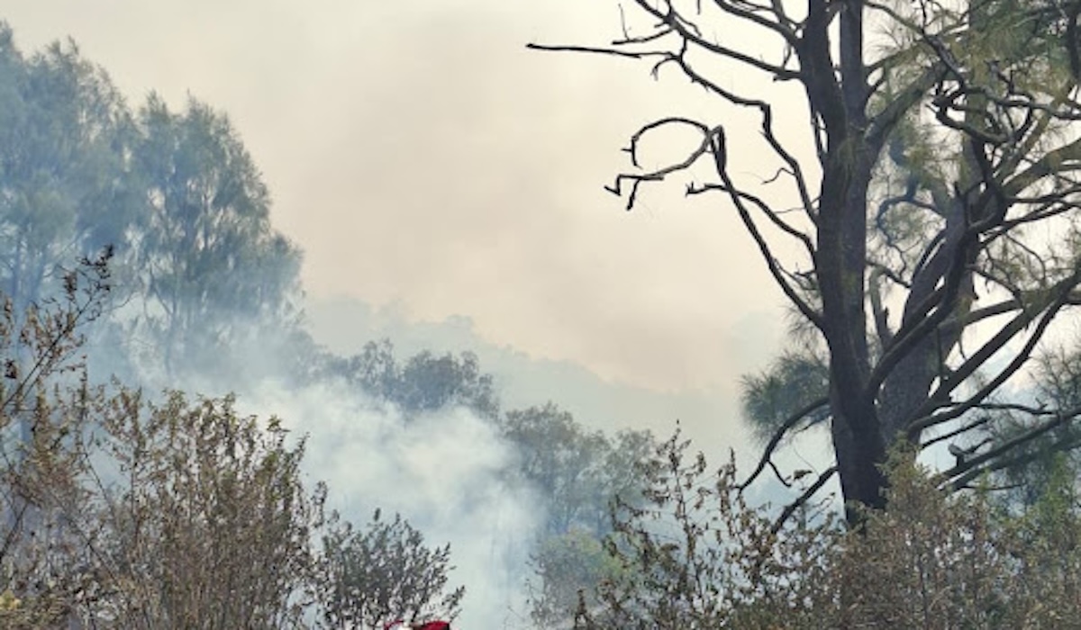 Khofifah Secures Water Bombing Helicopter to Combat Mount Bromo Fires Tomorrow
