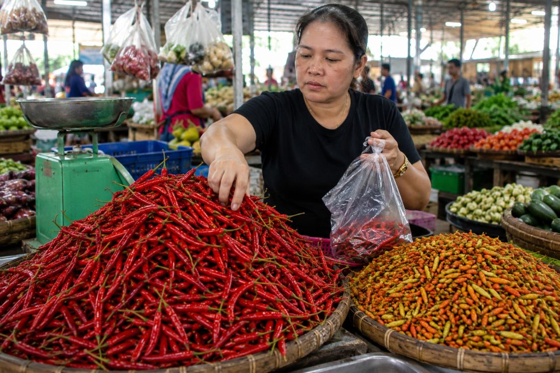 Chilli Prices Remain High, Batam Residents Reduce Purchases