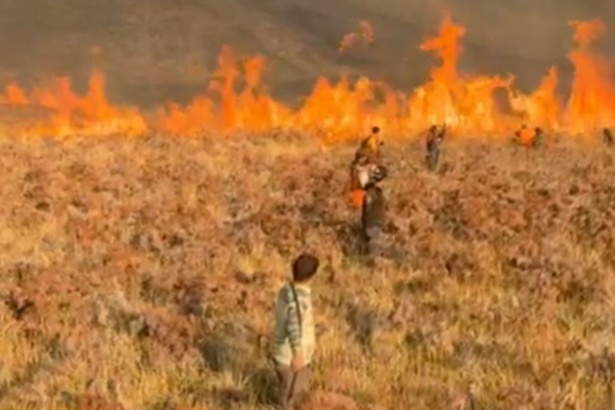 Bromo Forest Fire Spreads Due to Strong Winds