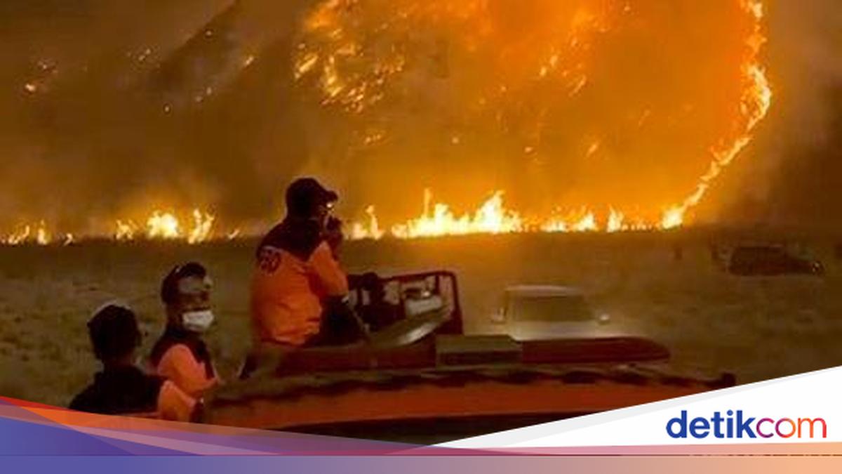 Mount Bromo Completely Closed Due to Forest Fire, Tickets Can Be Refunded