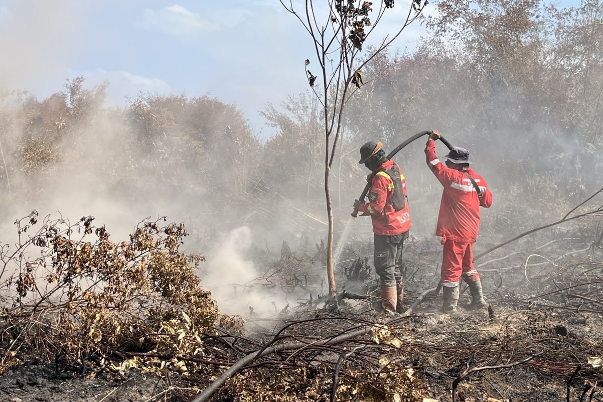Riau Forest Fire Handling: Hotspots Decrease, Focus on Peatland Cooling