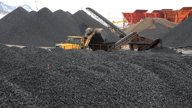 Coal Prices Plunge Over 3% Due to India's Surging Production