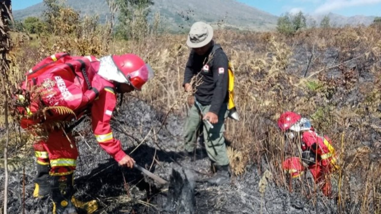 Forest Fire in Mount Rinjani National Park Contained, 30 Hectares Affected