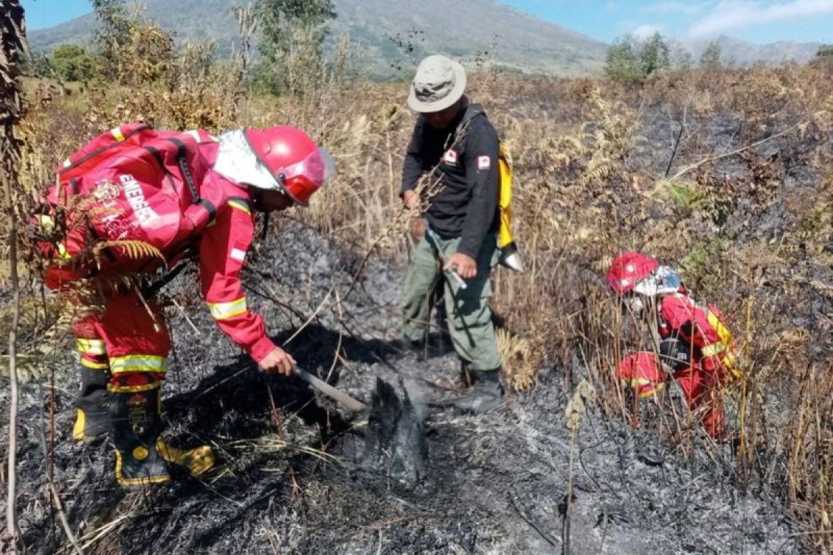 Mount Rinjani's forest fire contained after 30 hectares burned: Govt
