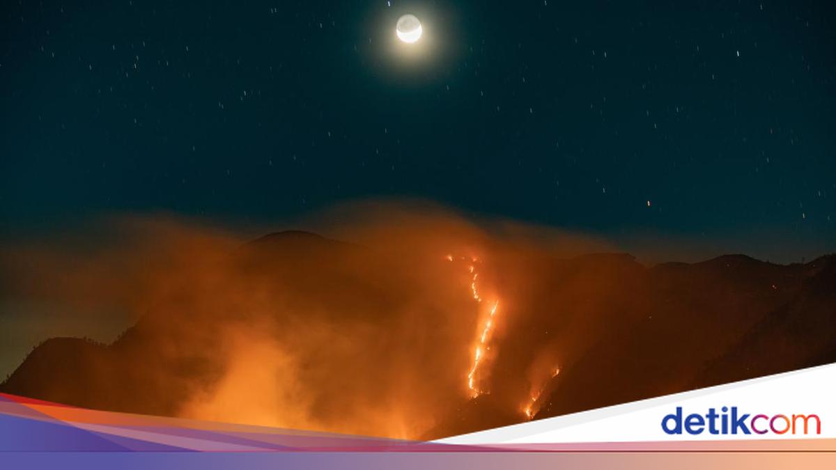 Bromo Land Fire Reaches 520 Hectares, Three Helicopters Deployed