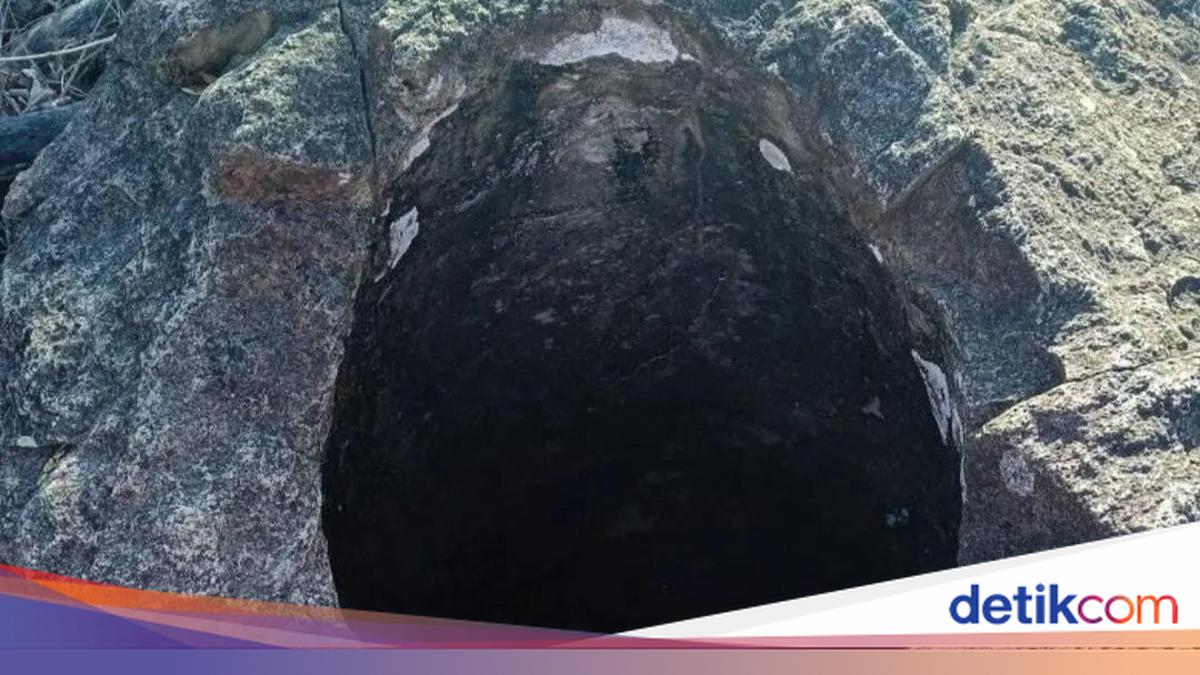 Fish Taboos in Bima: Kuwe Brings Disaster, Belanak Causes Deafness