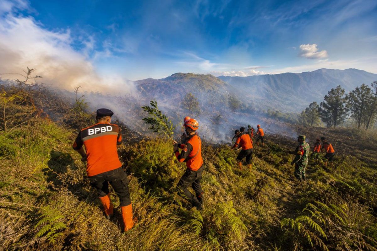 Lumajang BPBD Rapid Response Team Tackles Forest Fire in Bromo Tourist Area