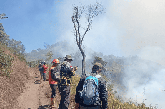 BPBD Tackles Bromo Tourist Area Fire with Water Bombing