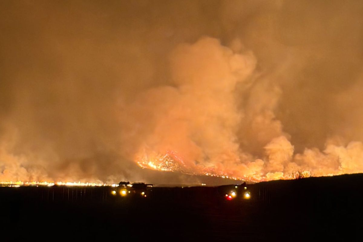 Minister urges public to help prevent forest and land fires