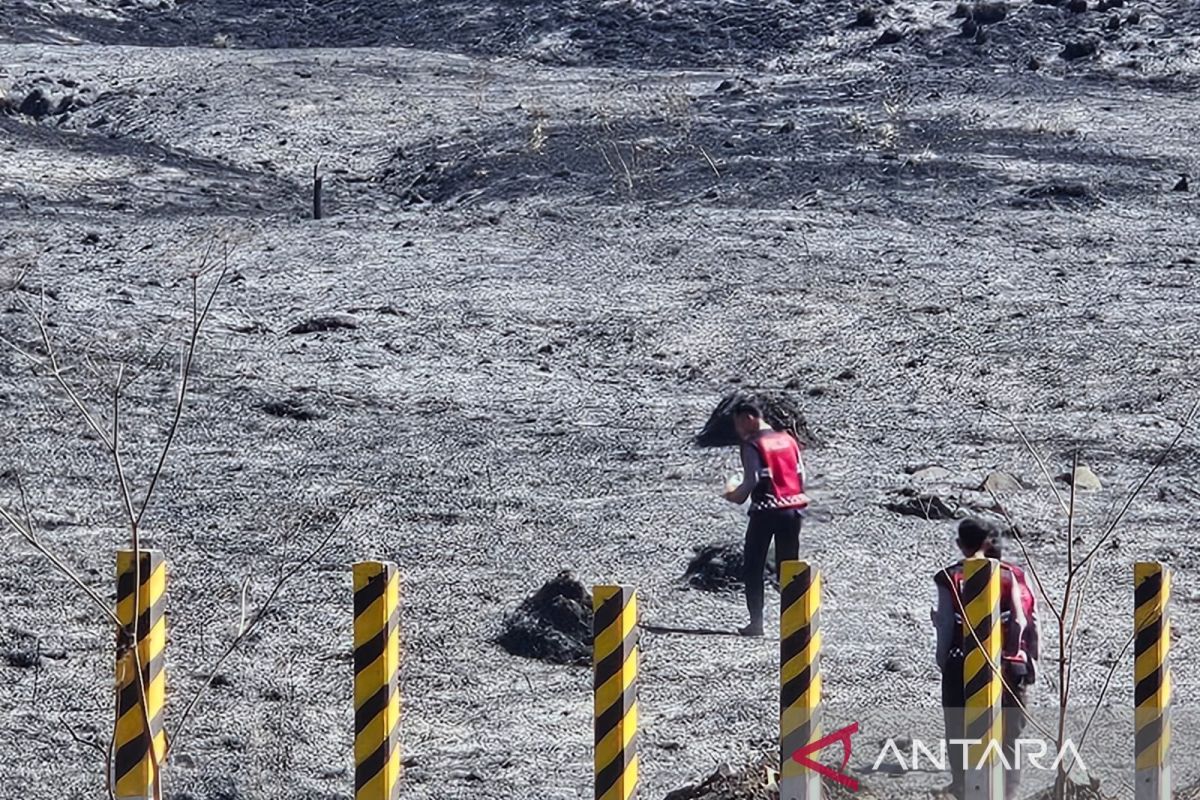 Bromo fire damage area expands to 520 hectares