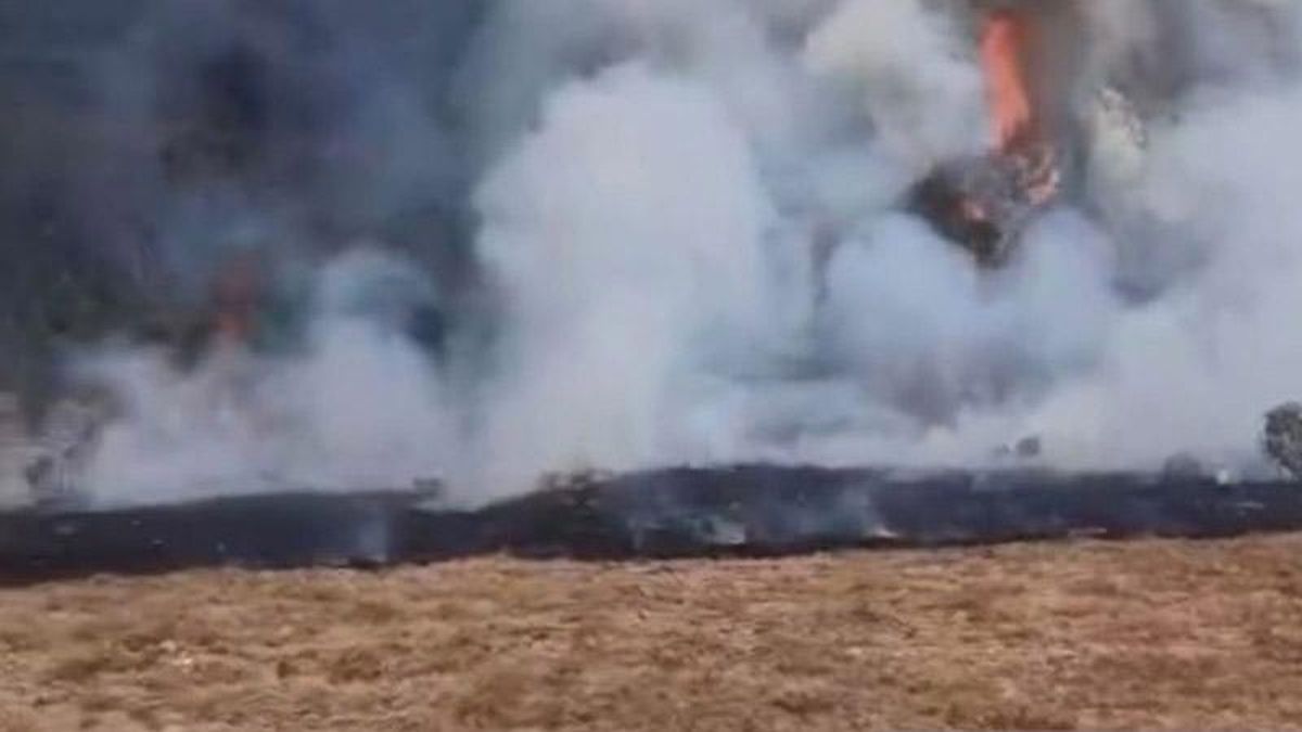 Mount Gede Wildfire: Hundreds of Personnel Still Battling to Extinguish Blaze