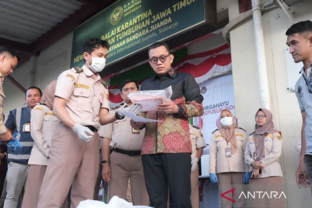 Barantin Ensures Optimal Quarantine Services in East Java