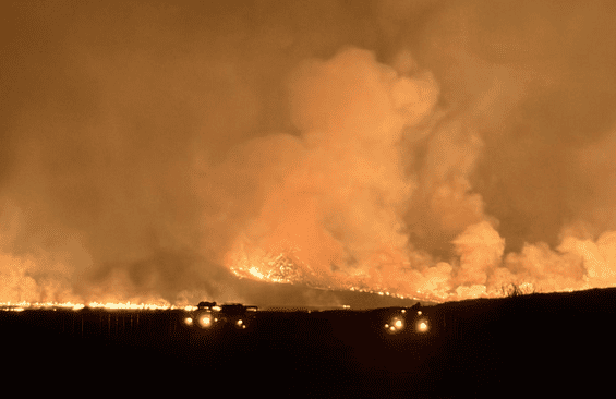Bromo Fire: Public Urged Not to Use Fire in Forest Areas