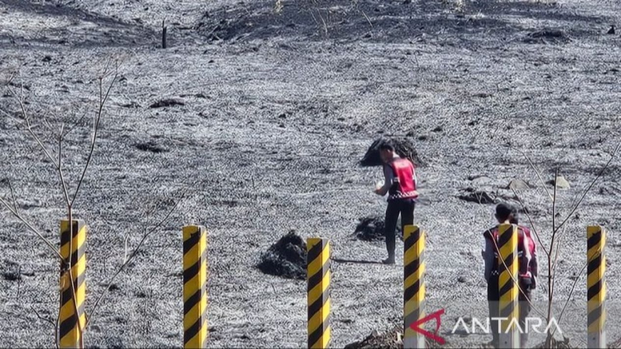 Bromo Fire Area Expands to 570 Hectares