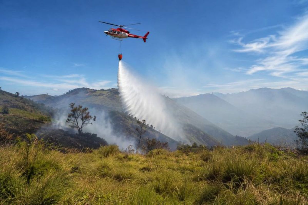 Ground, aerial operations deploy handle Bromo wildfire