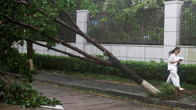 Typhoon Dolphin Slams China, Triggers Emergency Response and Mass Flight Cancellations