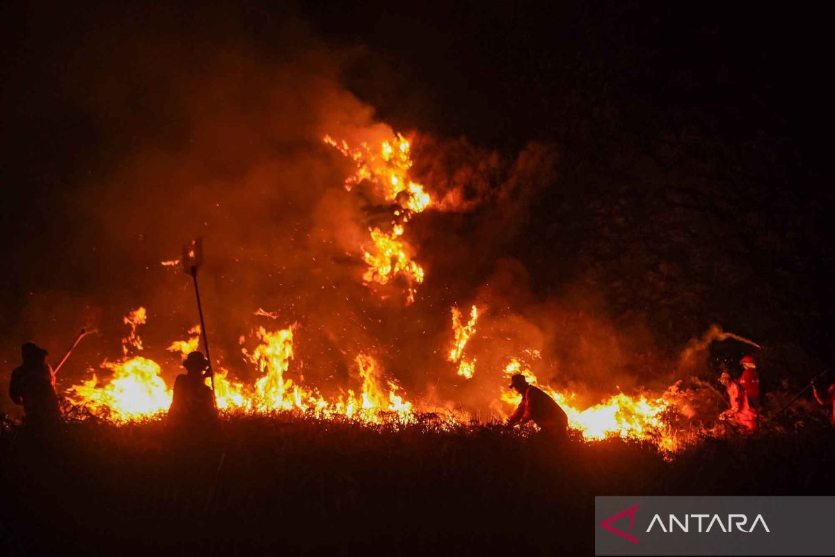 Top Stories: Bromo Fire and Yacht Tourism Development