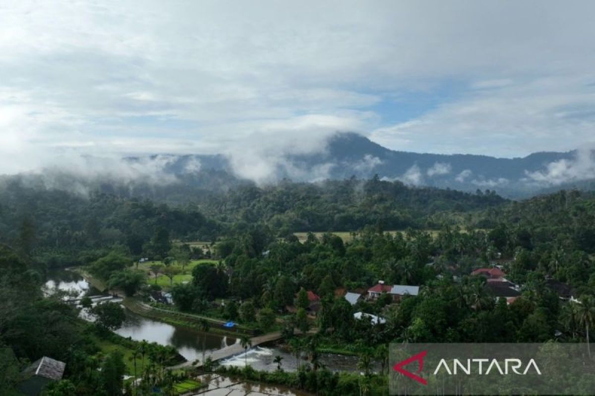 Forestry Ministry Strengthens Inclusive Carbon Trading Transformation