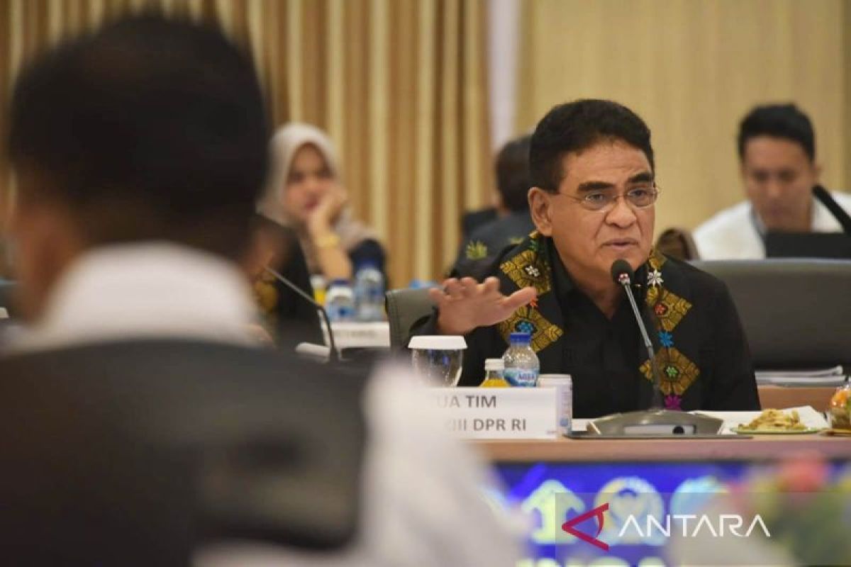 DPR Deputy Speaker Suspects Mastermind Behind Hoax Protest Videos