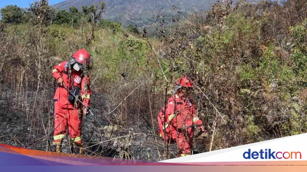 Forestry Ministry's Rapid Response Controls Mount Rinjani Fire