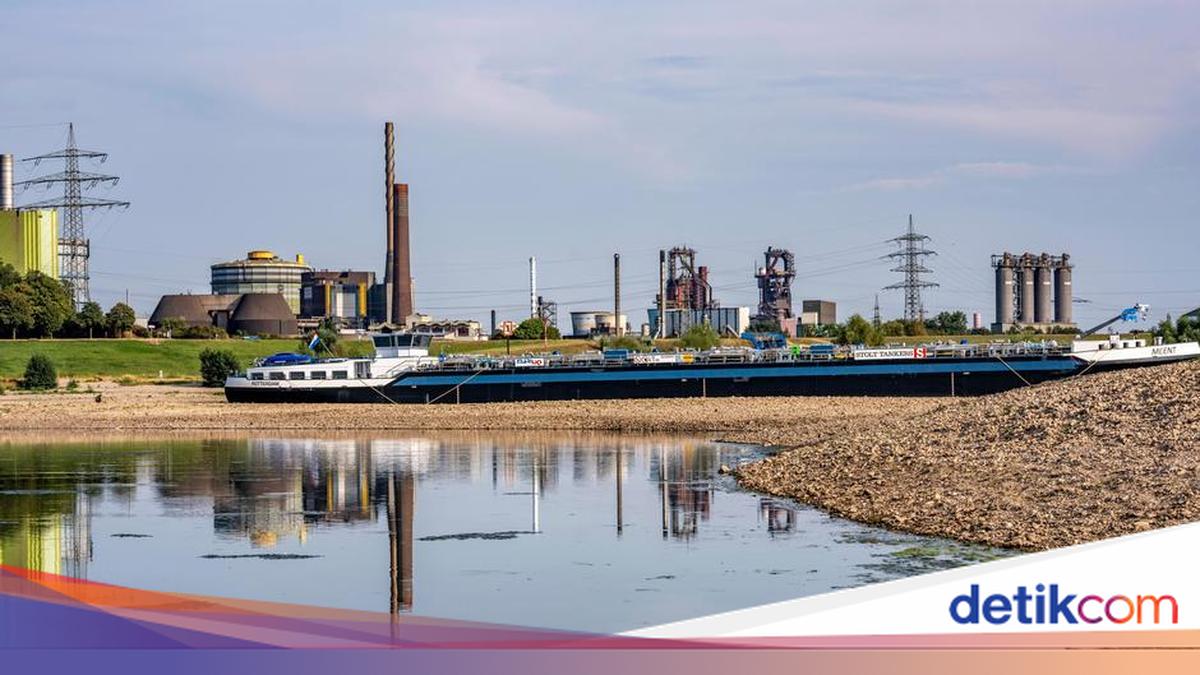 Europe's Rivers in Crisis: Can Any Be Saved?