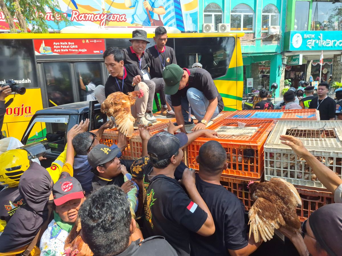 Peaceful Protest: Thousands of Eggs and Chickens Distributed Free in Malioboro