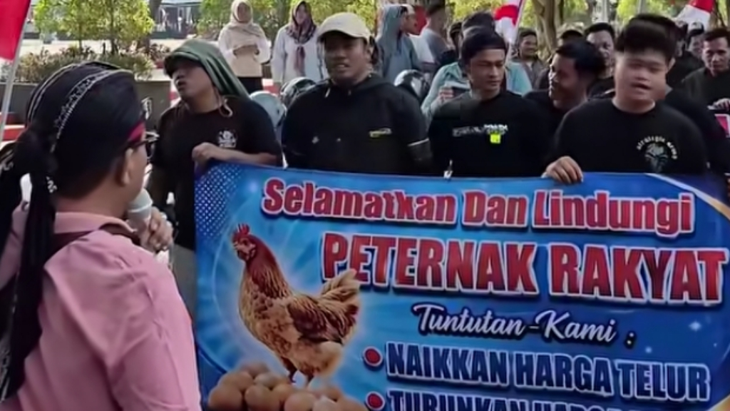 Egg Prices Plunge, Feed Costs Soar: South Sulawesi Farmers Threaten to Shut Down