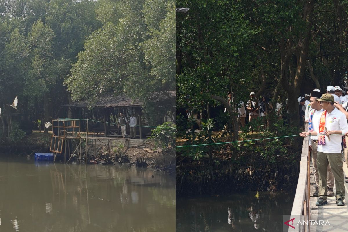 Ministry of Forestry Releases 15 Waterbirds in North Jakarta's Angke Nature Park
