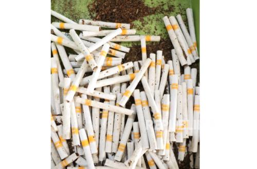 Jayapura Customs Foils Shipment of 16,000 Illegal Cigarettes via Postal Service