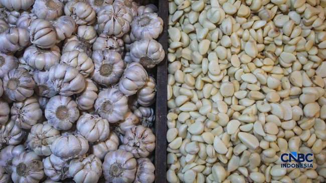 BPS Explains Latest Prices of Rice, Cooking Oil, and Garlic
