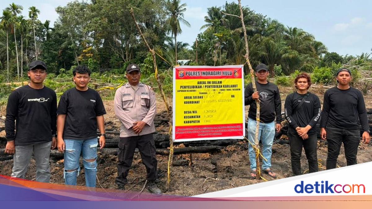 68-Year-Old Man Burns 1.5 Hectares of Land in Riau to Chase Away Mosquitoes