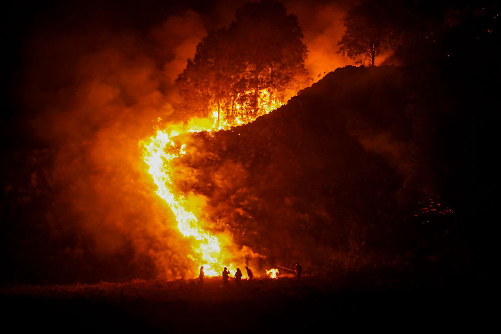 Forest and Land Fires in Bromo Tengger Semeru National Park Expand to 520 Hectares