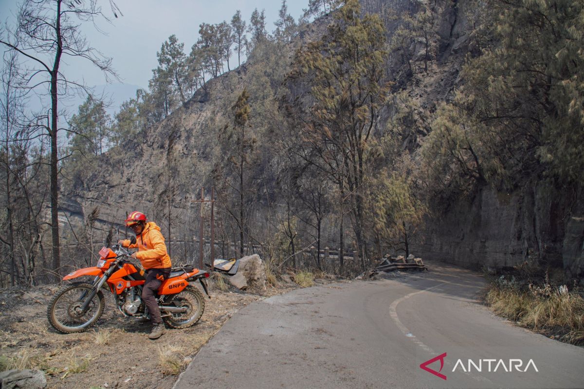 Government Coordinates to Extinguish Forest Fires
