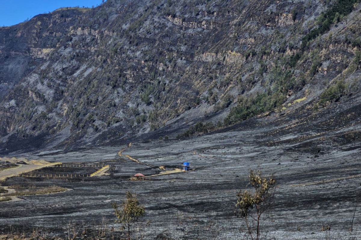 Tourists Affected by Bromo Closure Can Request Refunds