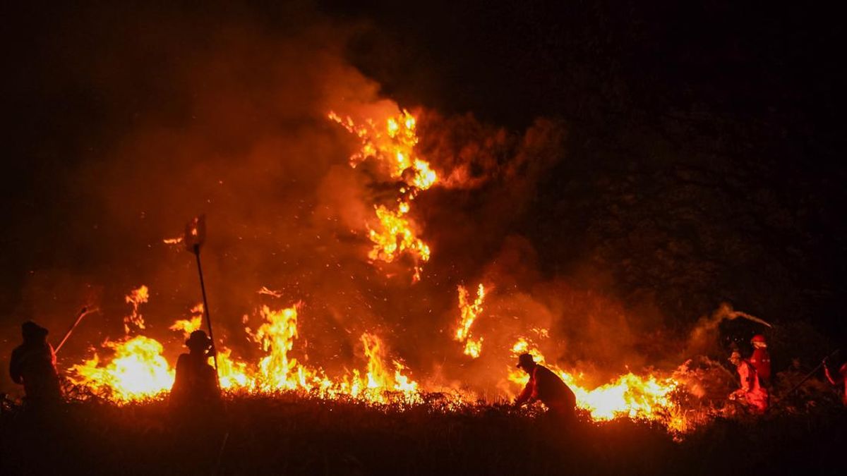 BNPB Says Only Two Hotspots Remain in Bromo Forest Fire