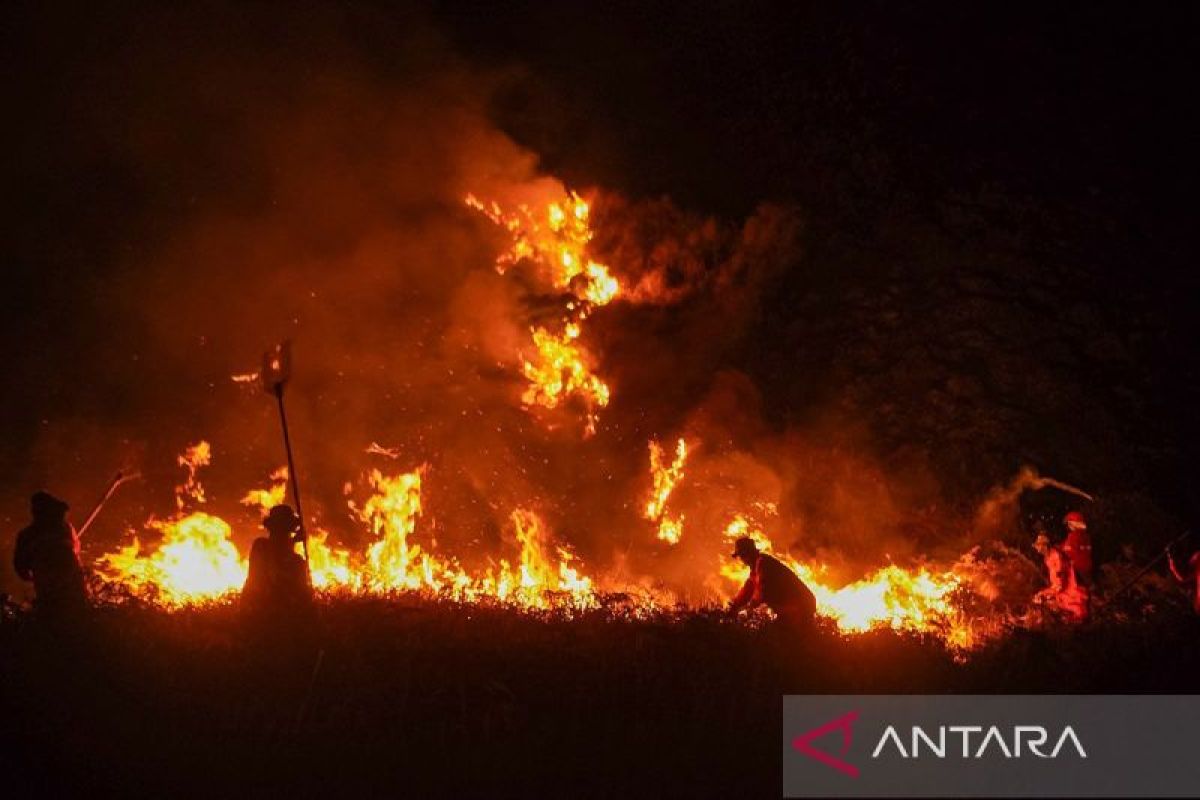 Ministry says national park closures conditional on wildfire spread
