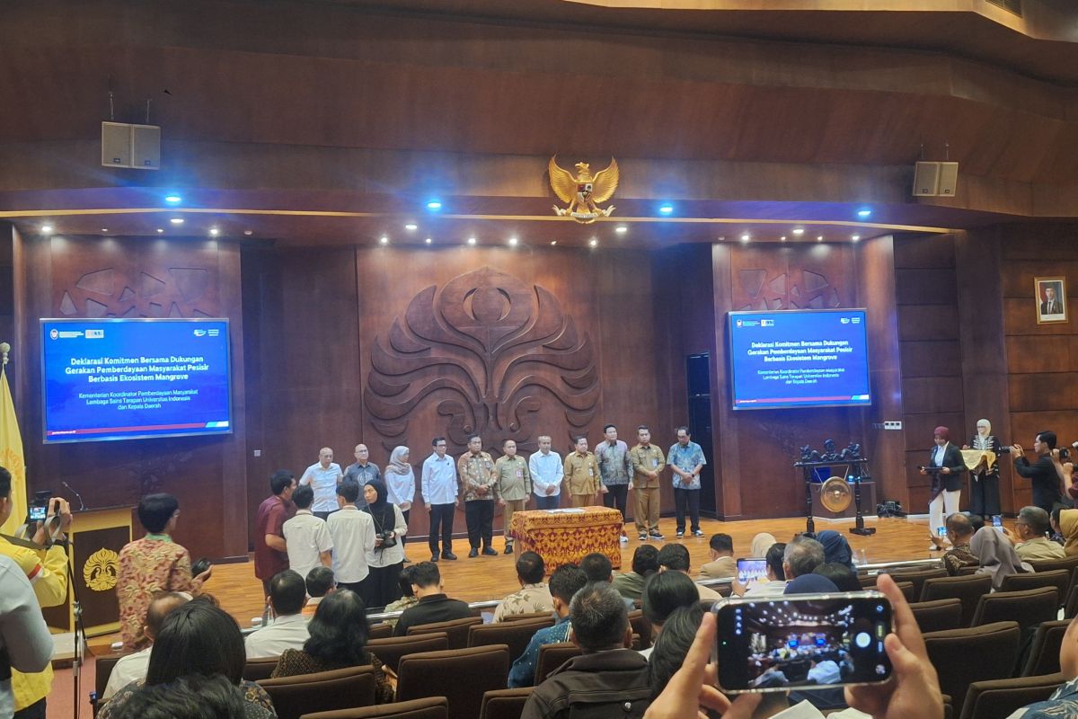 FMIPA UI Ready to Map Mangrove Carbon Value to Calculate Economic Potential