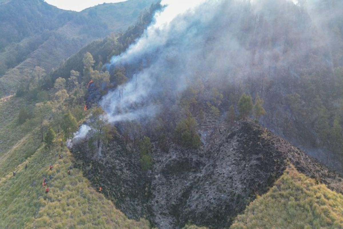 BNPB Reports Ten Provinces Besieged by Forest and Land Fires